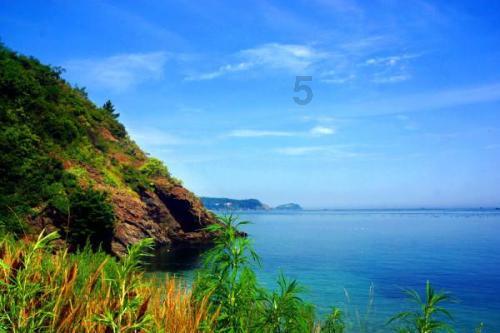 湖北“冠军回家”传承奥运精神